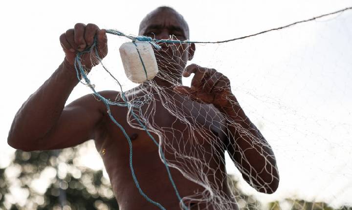 Deputados podem votar alterações em medida provisória que muda regras do seguro-defeso