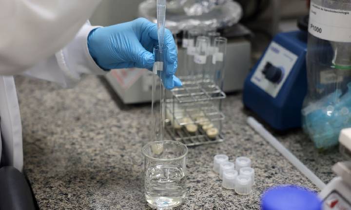 Doença de Newcastle: protocolos sanitários são cumpridos em SC