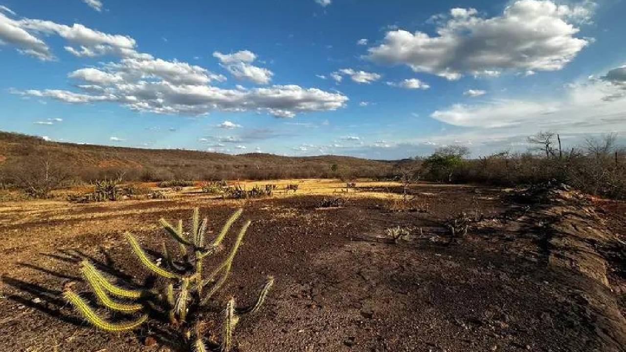 Governo federal reconhece emergência por desastres naturais em 4 municípios do PI