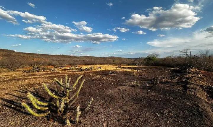 Governo federal reconhece emergência por desastres naturais em 4 municípios do PI