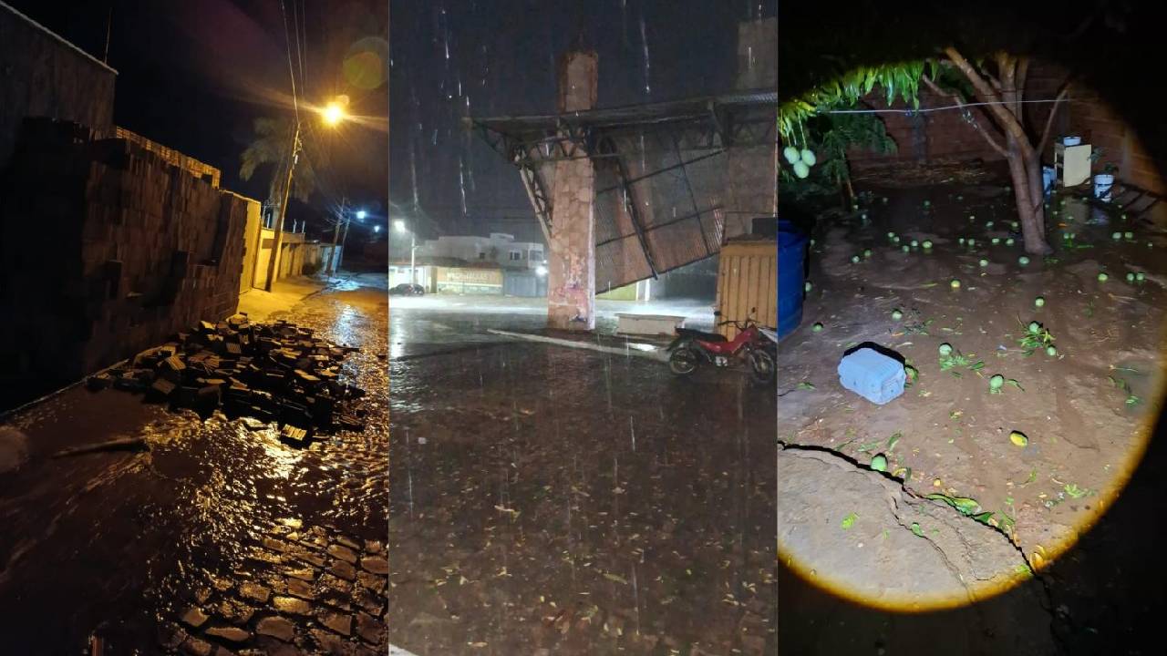 Temporal com fortes ventanias provoca estragos em São Raimundo Nonato; árvores, postes e telhados são atingidos