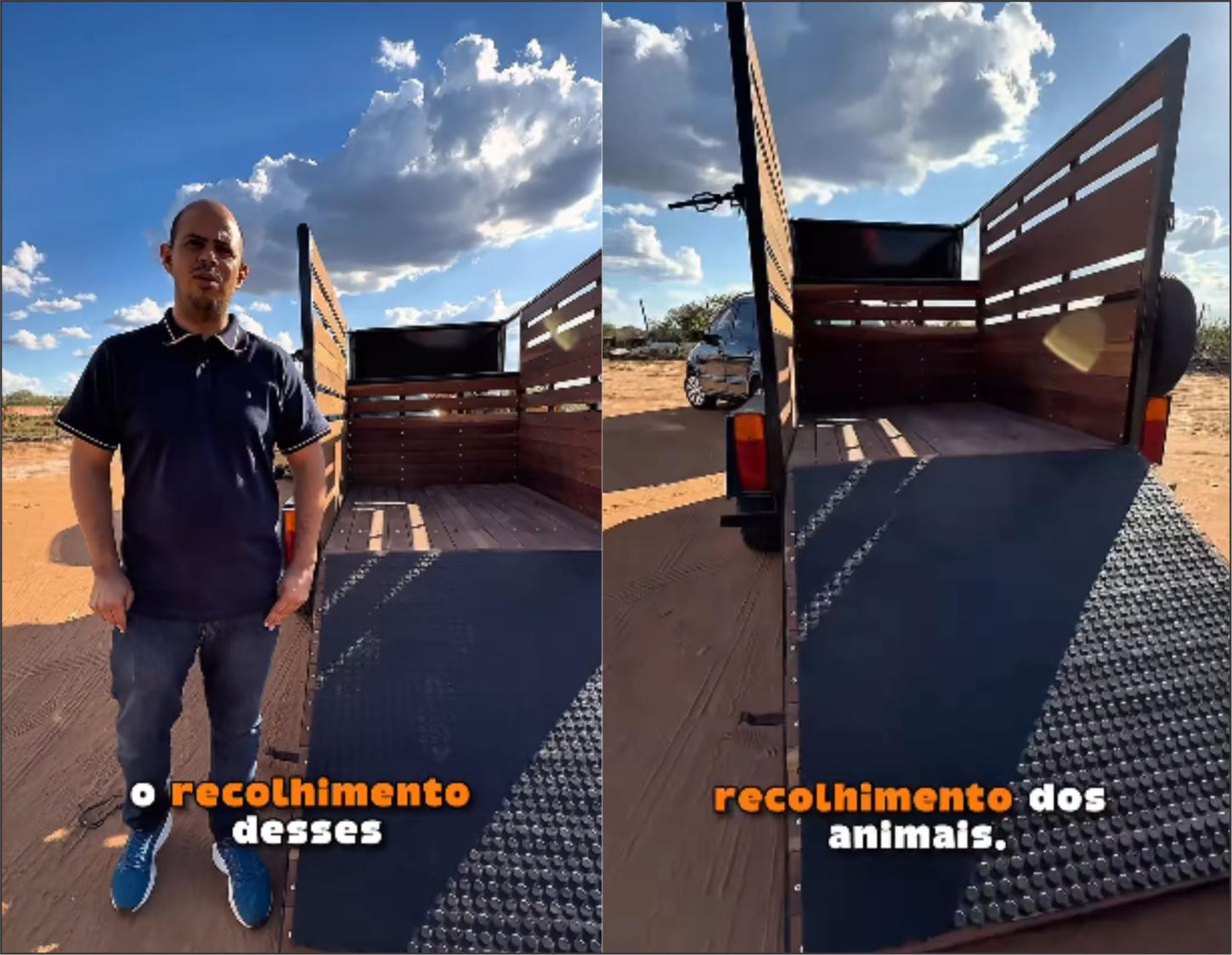 Prefeitura de São Raimundo Nonato inicia apreensão de animais soltos nas vias públicas