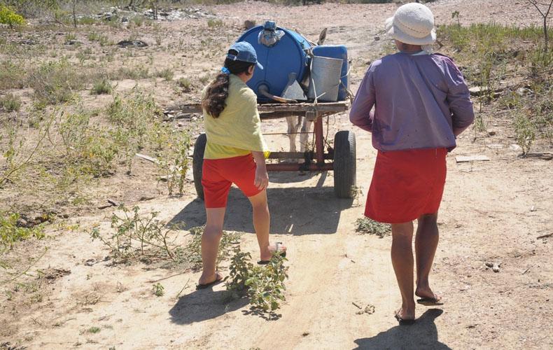 Ministério reconhece situação de emergência em 126 cidades piauienses afetadas pela seca