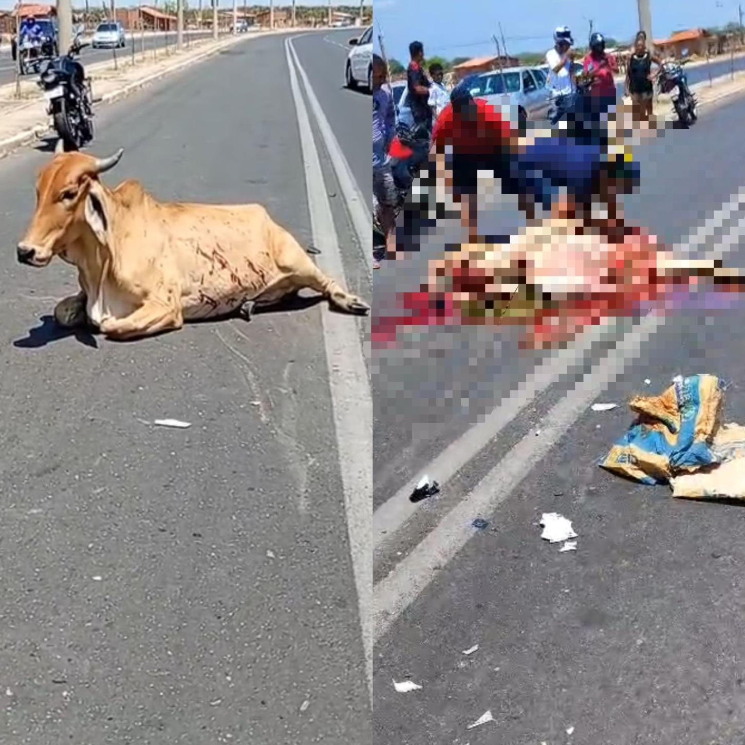 Polícia investiga pessoas que saquearam vaca após acidente em Teresina