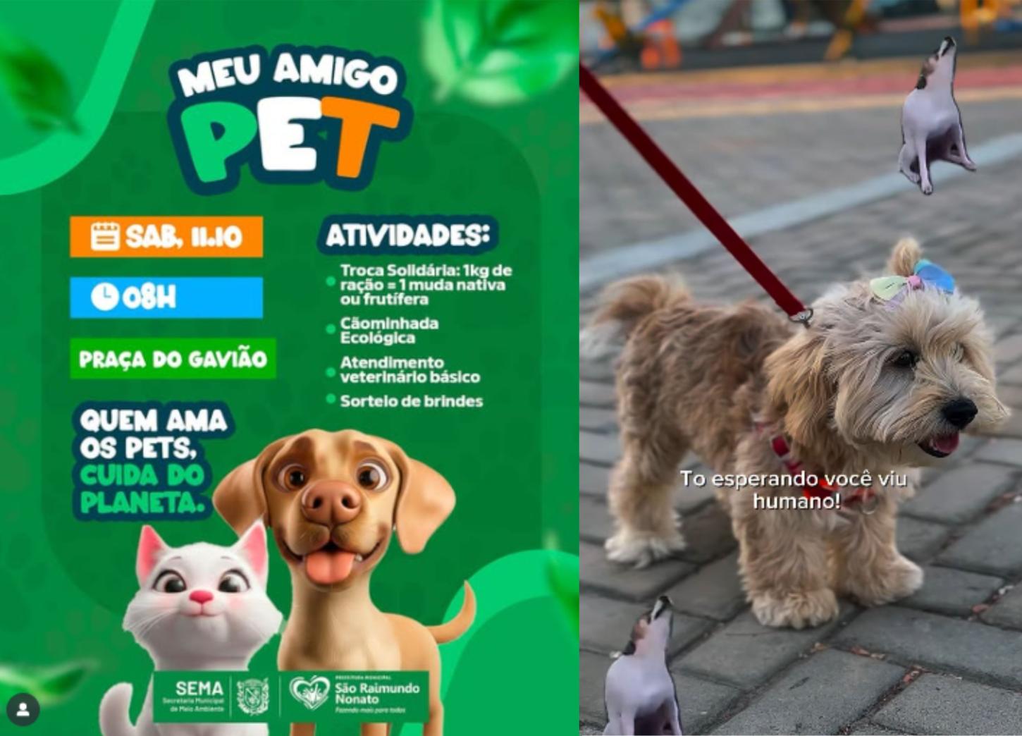 Prefeitura de São Raimundo Nonato promove Ação “Meu Amigo Pet” neste sábado (11)