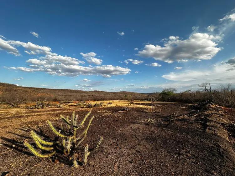 Governo federal reconhece emergência por desastres naturais em 4 municípios do PI